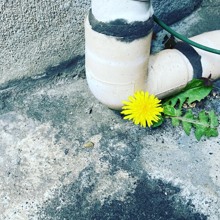 画像307