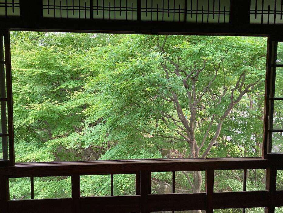 画像356