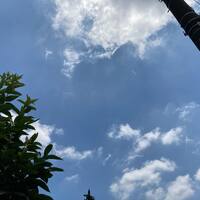 画像397