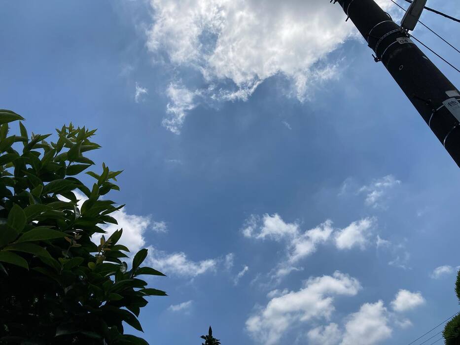 画像397