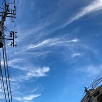 画像439