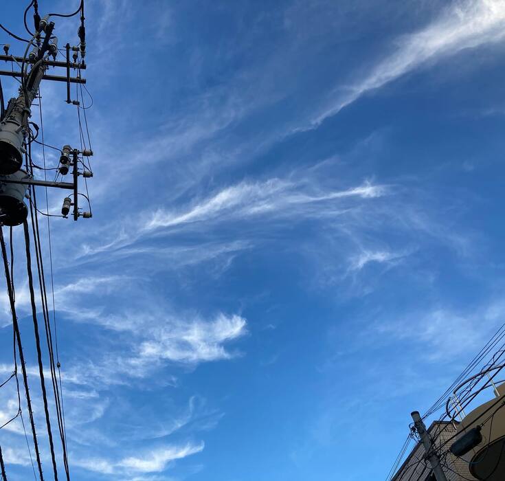 画像439