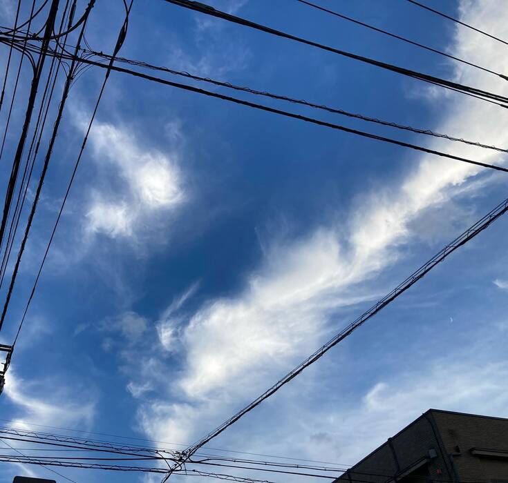 画像440