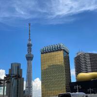 画像442