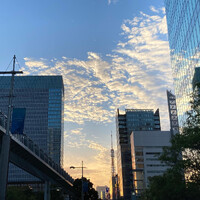 画像486
